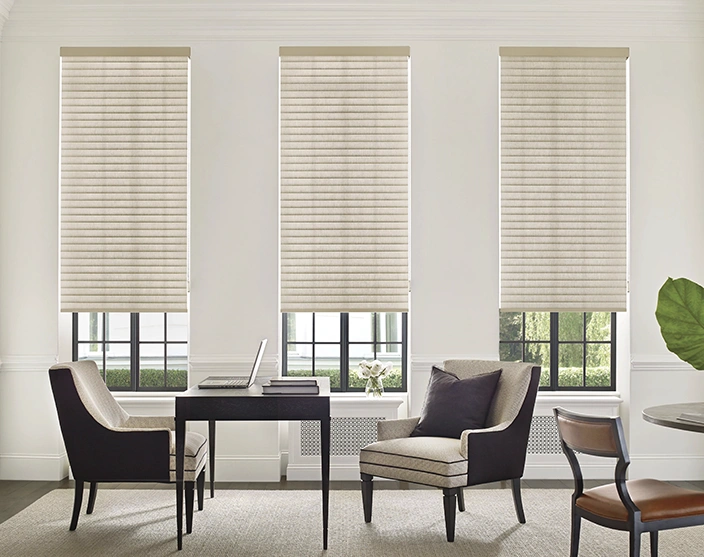 Window Blinds